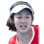 Wushuang Zheng