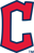 110 logo